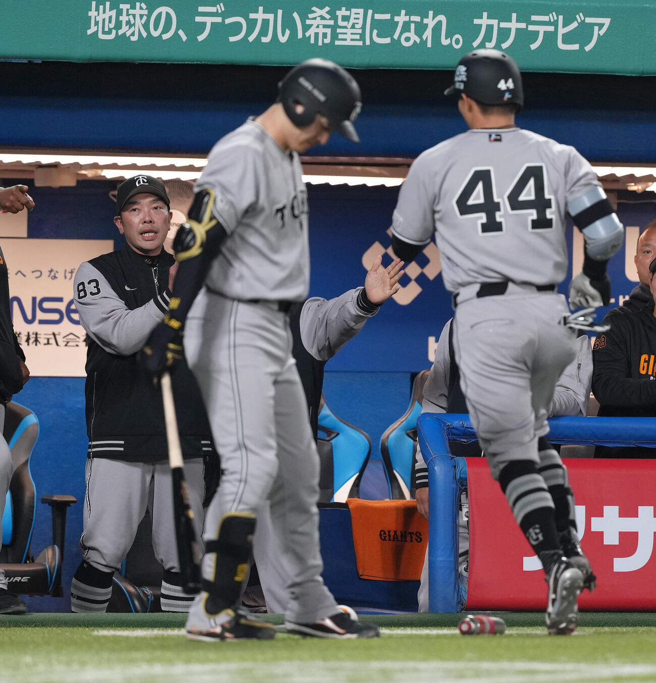 ヤクルト対巨人　3回表巨人2死、先制本塁打を放った佐々木（右）を迎える阿部監督（撮影・足立雅史）