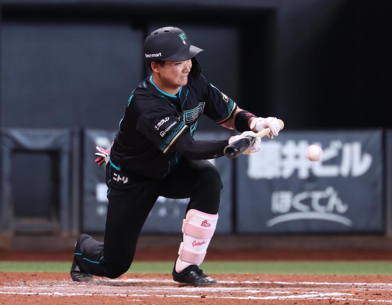 日本ハム対西武　6回裏日本ハム無死一、二塁、送りバントを決める山県（撮影・黒川智章）