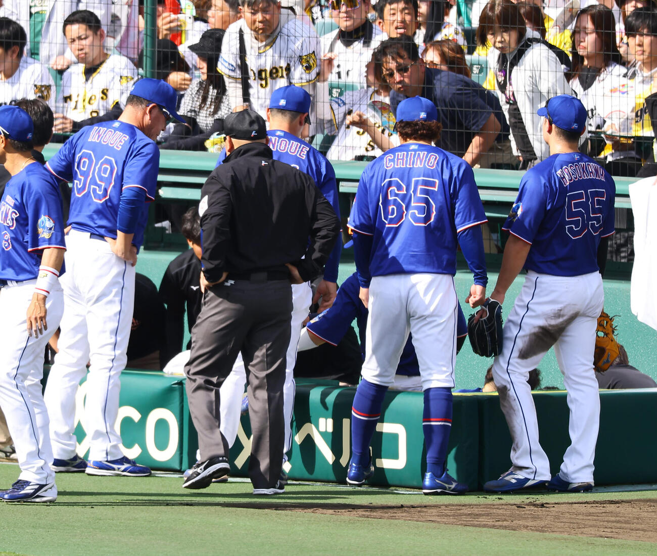 阪神対中日　3回裏阪神2死二塁、井上一樹監督（左）はカメラマン席に飛び込み負傷した福永を心配そうに見つめる（撮影・上田博志）