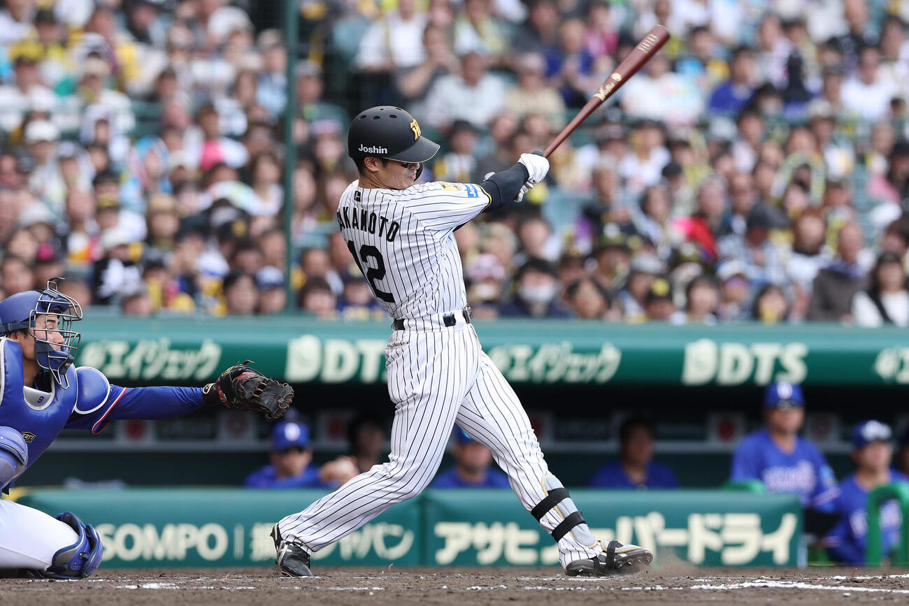 阪神対中日　4回裏阪神1死一、三塁、同点の左前適時打を放つ坂本（撮影・前田充）