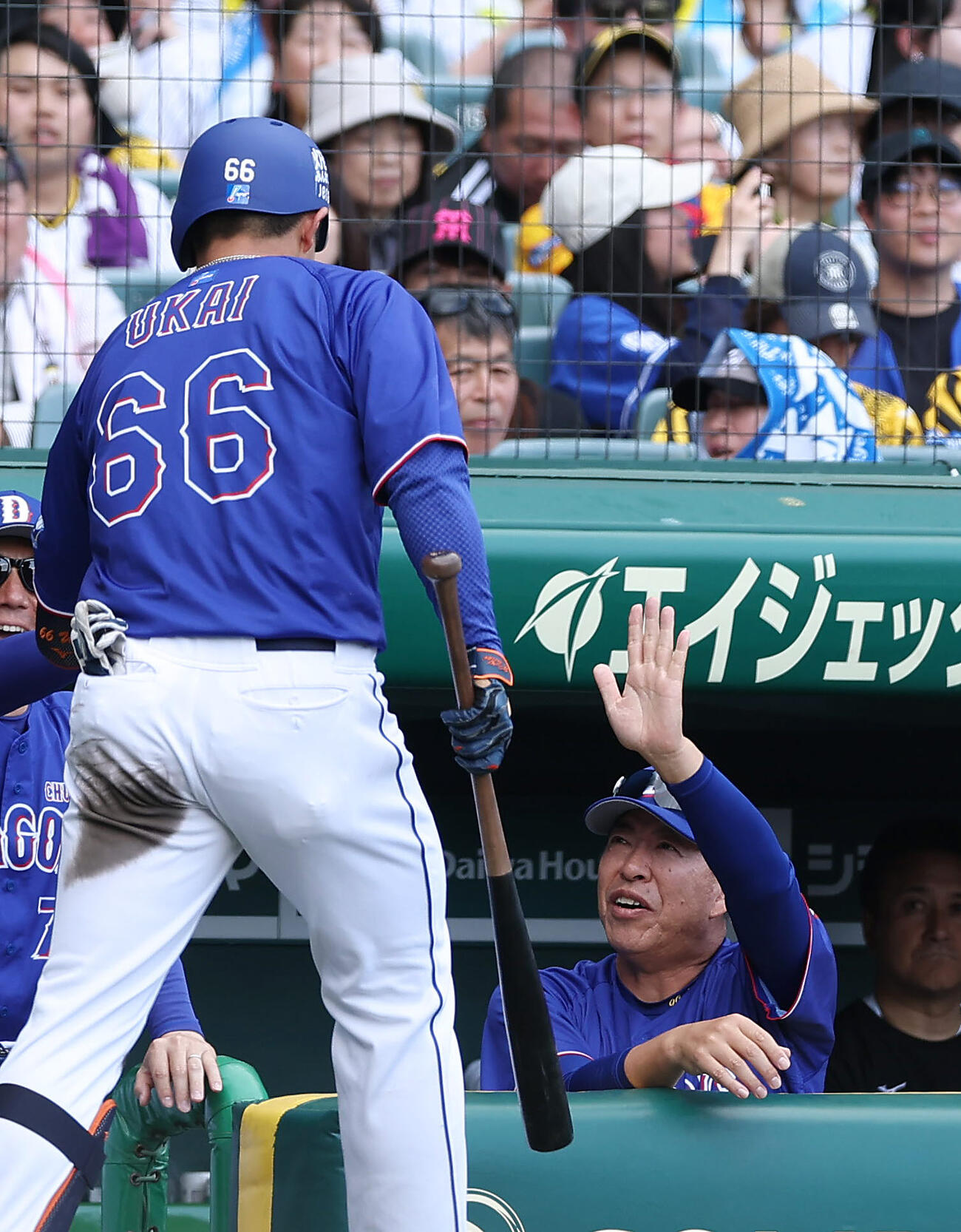 阪神対中日　4回表中日無死三塁、2点本塁打を放った鵜飼（左）を迎える井上監督（撮影・前田充）