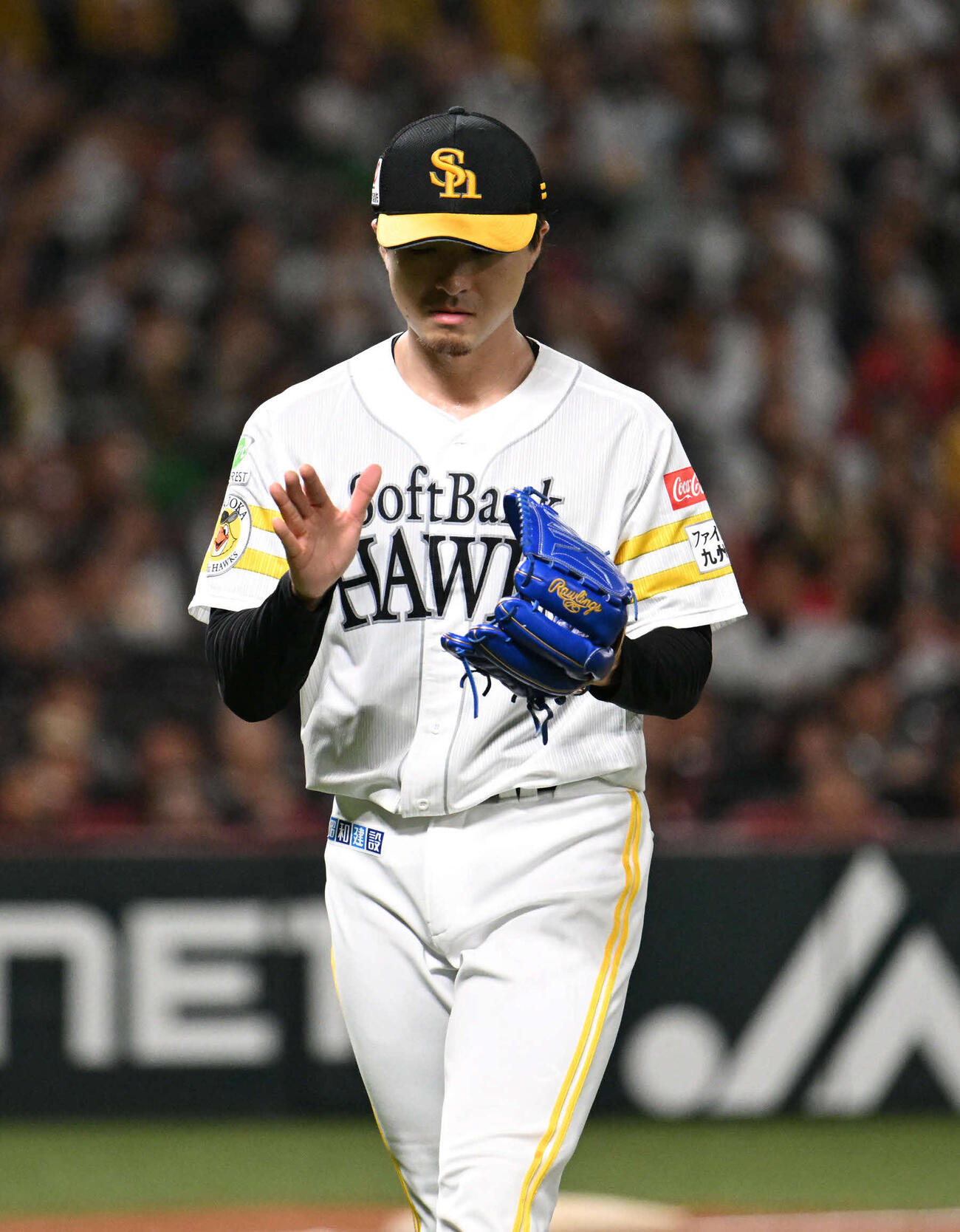 ソフトバンク対オリックス　5回まで無失点の好投を見せる上沢（撮影・林敢治）