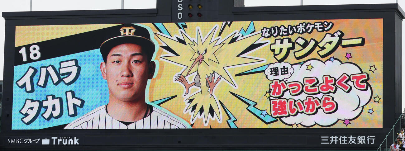 阪神対中日　阪神伊原のなりたいポケモンはサンダー（撮影・加藤哉）