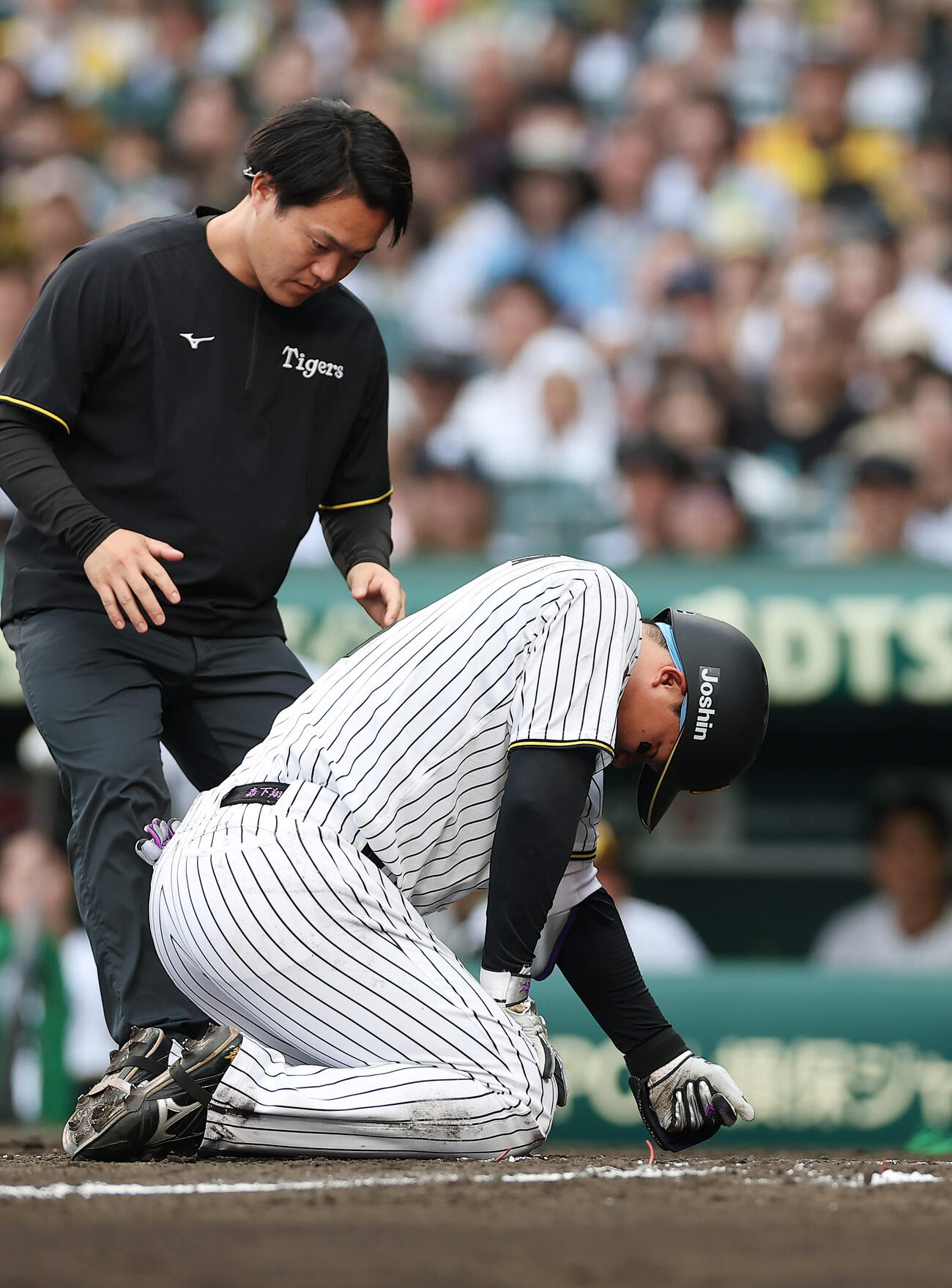阪神対中日　5回裏阪神1死二、三塁、死球を受け痛がる森下（撮影・前田充）
