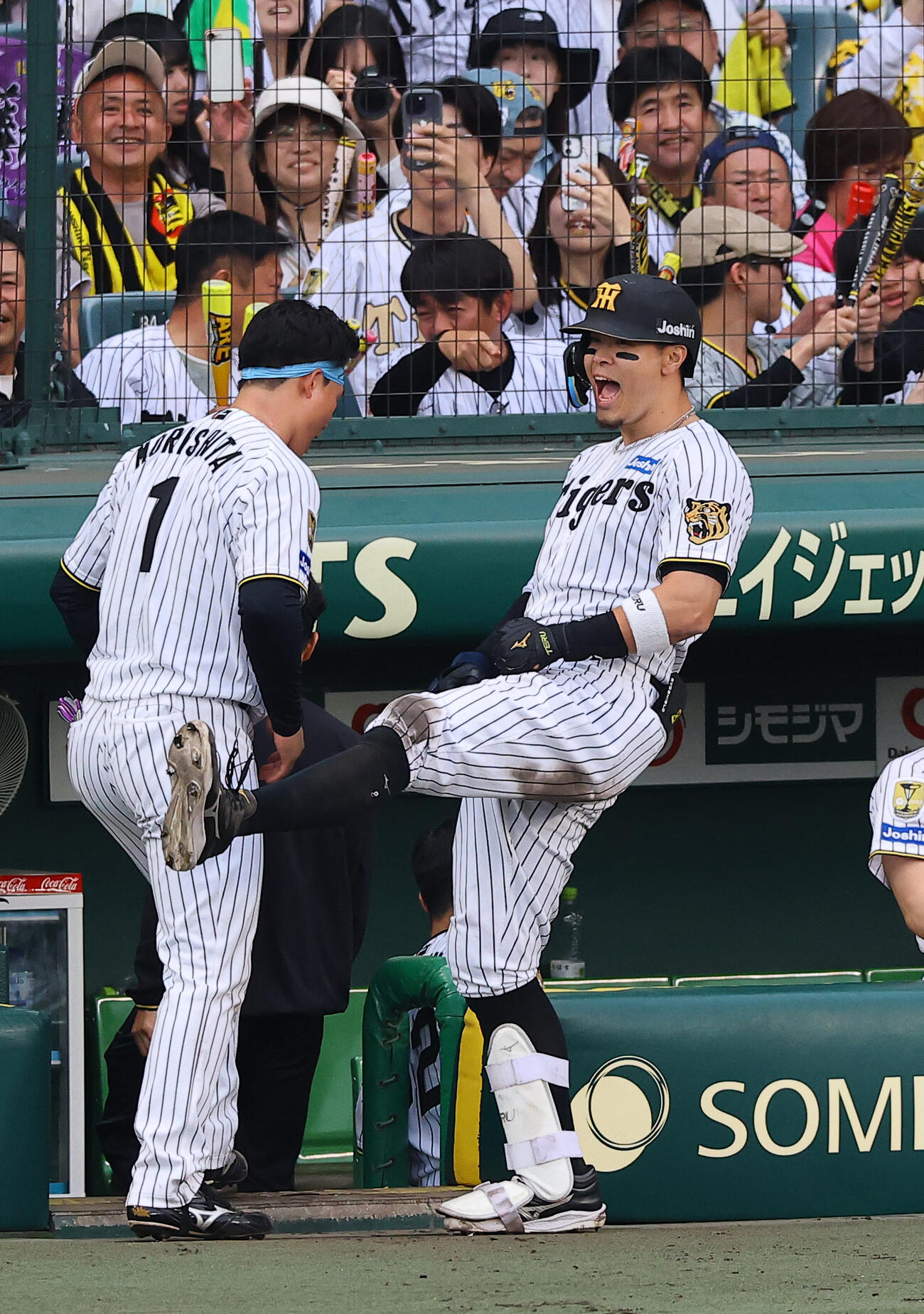 阪神対中日　7回裏阪神無死、ソロ本塁打を放った佐藤は雄たけびを上げて喜ぶ（撮影・上田博志）