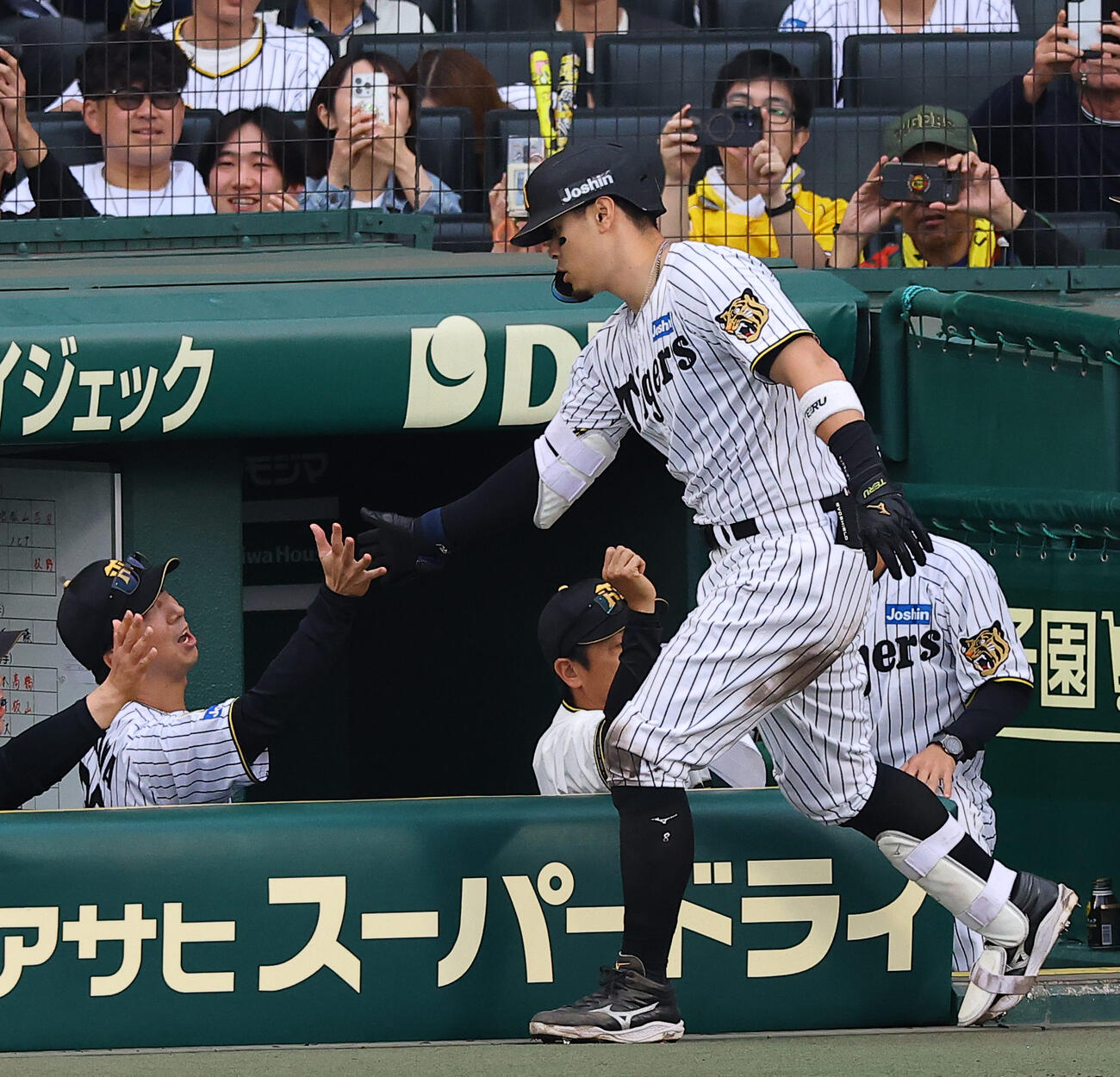 阪神対中日　7回裏阪神無死、ソロ本塁打を放った佐藤をハイタッチで出迎える藤川監督（撮影・上田博志）
