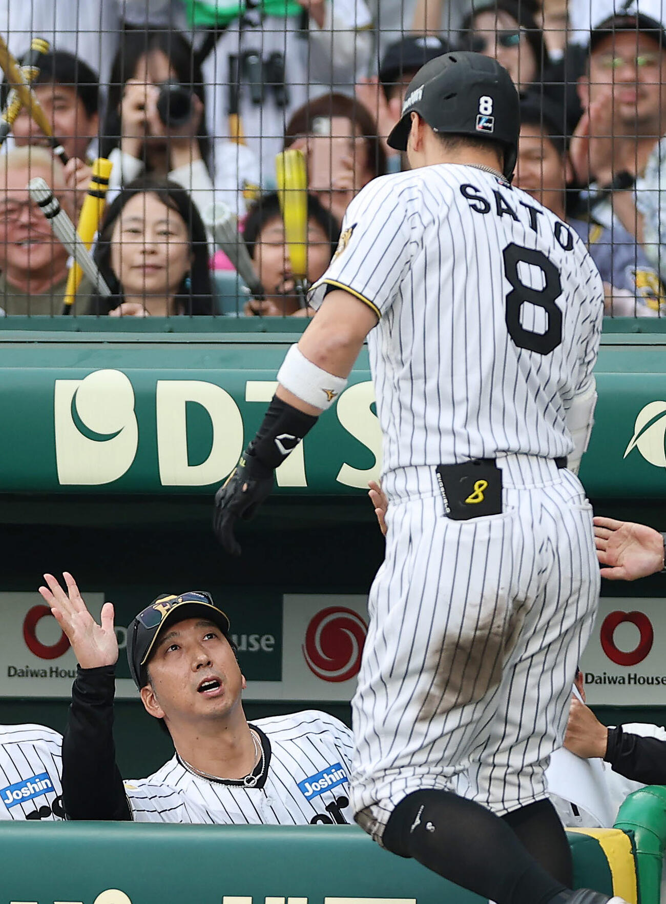 阪神対中日　7回裏阪神無死、本塁打を放った佐藤（右）を迎える藤川監督（撮影・前田充）