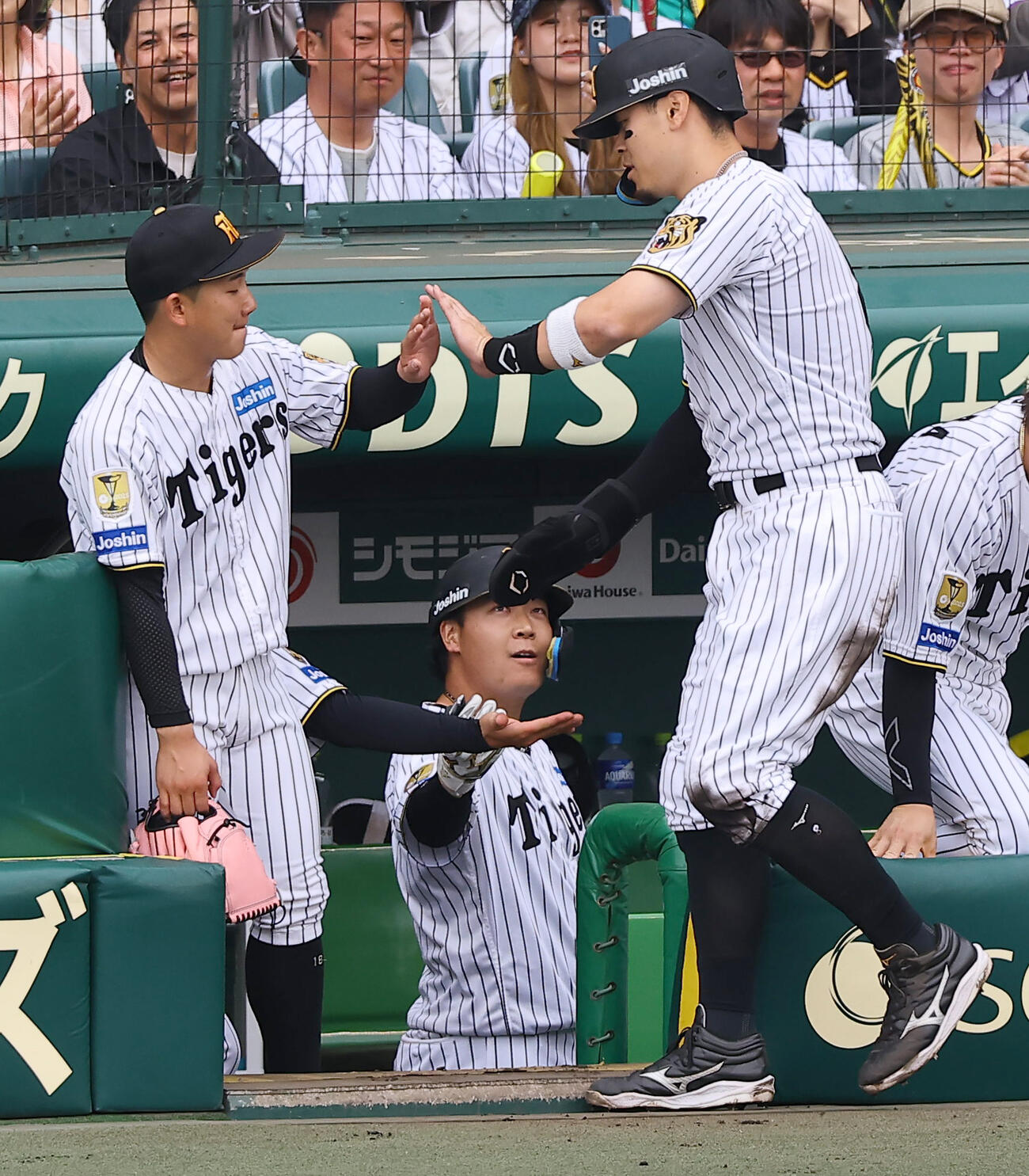 阪神対中日　1回裏阪神1死三塁、勝ち越し生還した佐藤（右）を出迎える伊原（撮影・上田博志）
