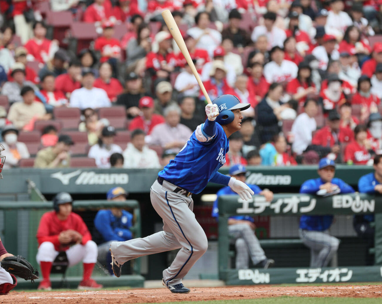 広島対DeNA 5回表DeNA1死、勝又は中前打を放つ（撮影・加藤孝規）