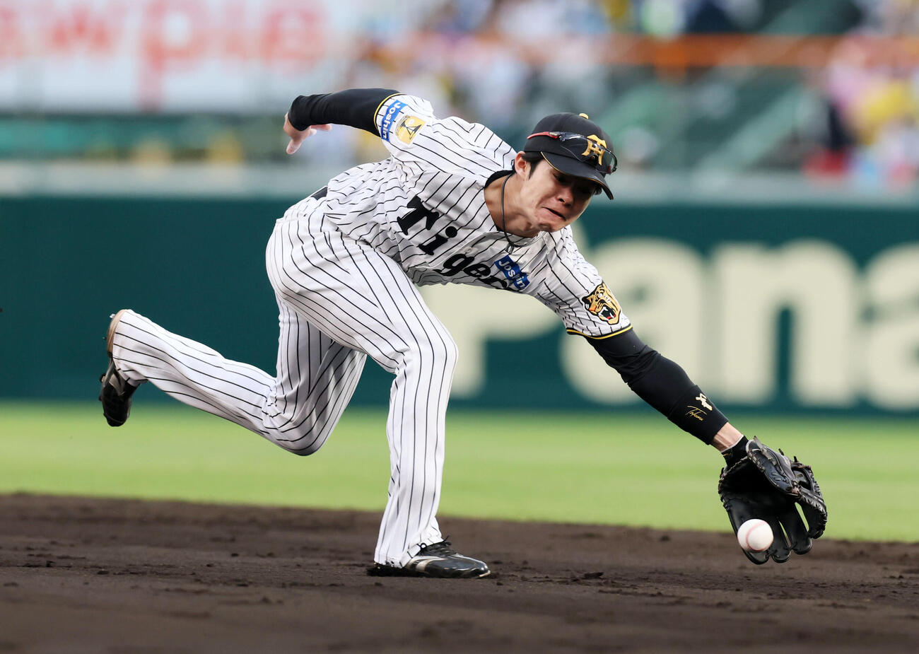 阪神中野拓夢（2026年4月撮影）