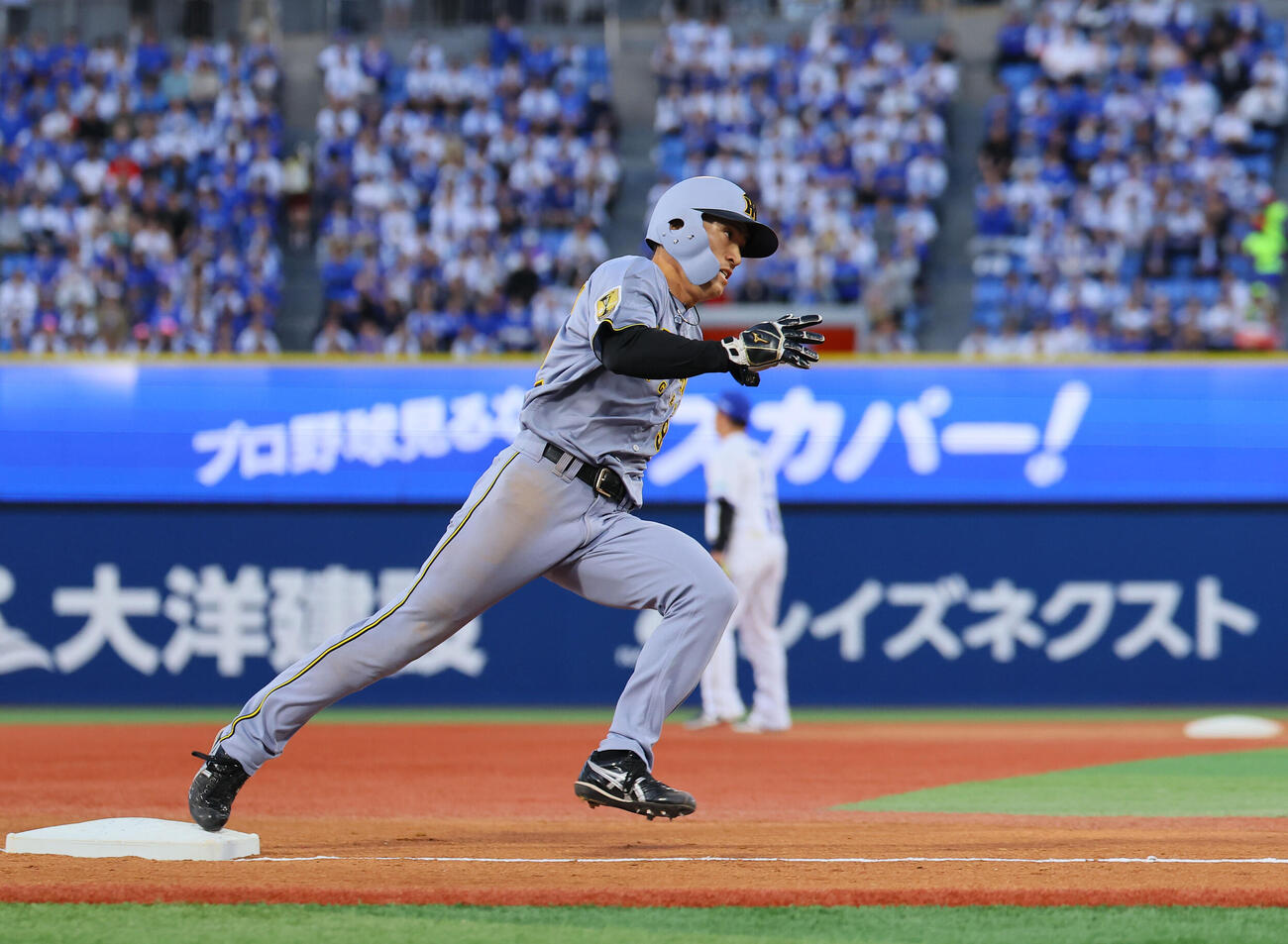 DeNA対阪神　2回表阪神2死一塁、坂本誠志郎の左前適時打で一気に三塁を回る一走福島圭音（撮影・藤尾明華）