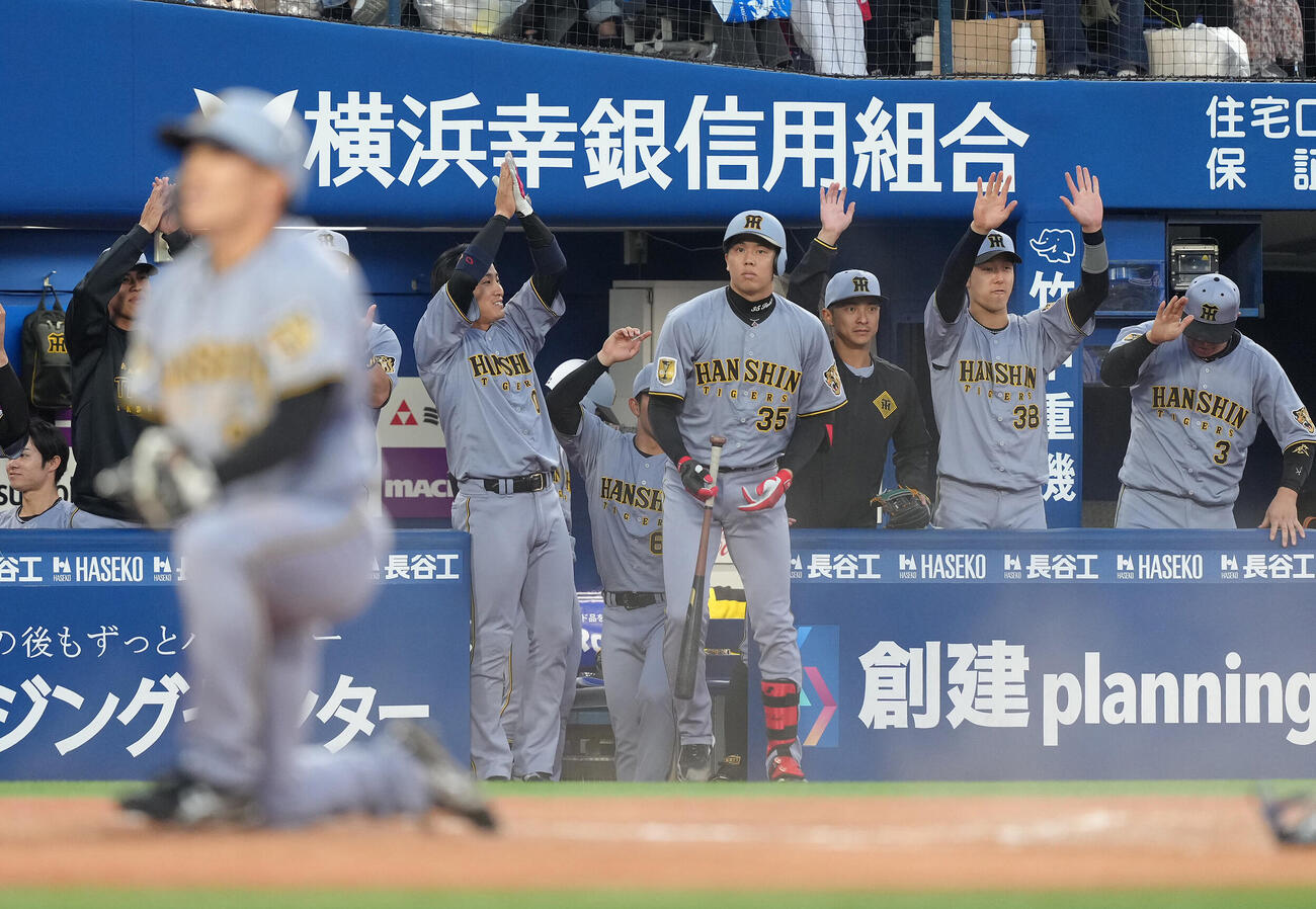 DeNA対阪神　2回表阪神2死一塁、坂本誠志郎の左前適時打にヘッドスライディングで生還した福島圭音（手前）を見つめる才木浩人（後方左から2人目）ら（撮影・足立雅史）　