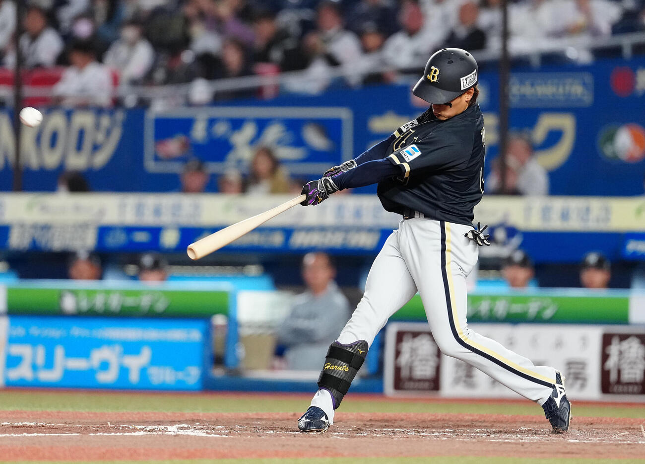 ロッテ対オリックス　4回表オリックス無死、ソロ本塁打を放つ渡部遼人（撮影・鈴木みどり）