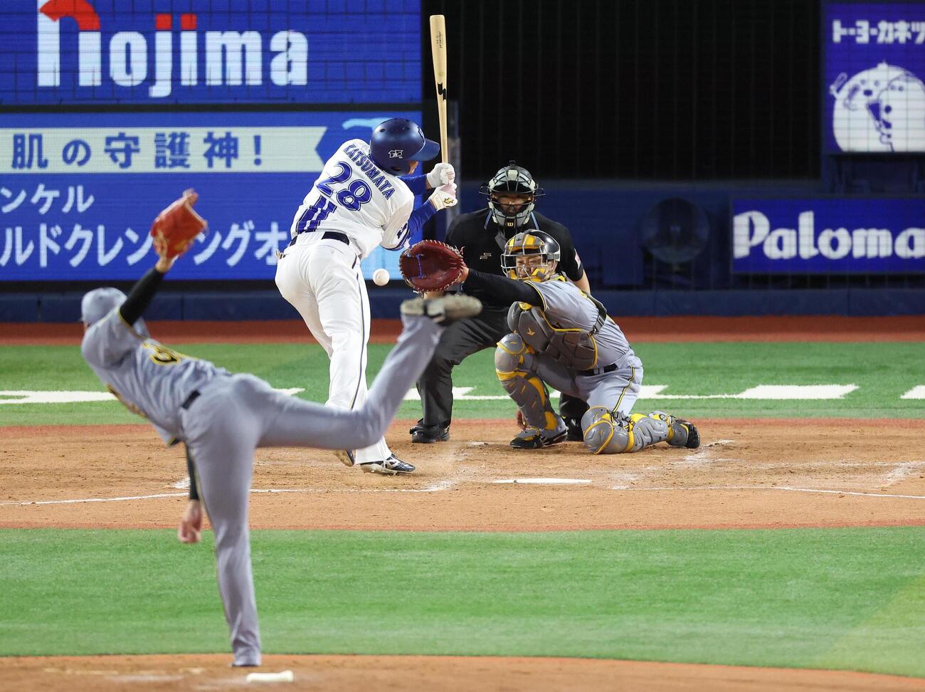 DeNA対阪神　4回裏DeNA1死、死球を受ける勝又温史。投手才木浩人（撮影・河田真司）