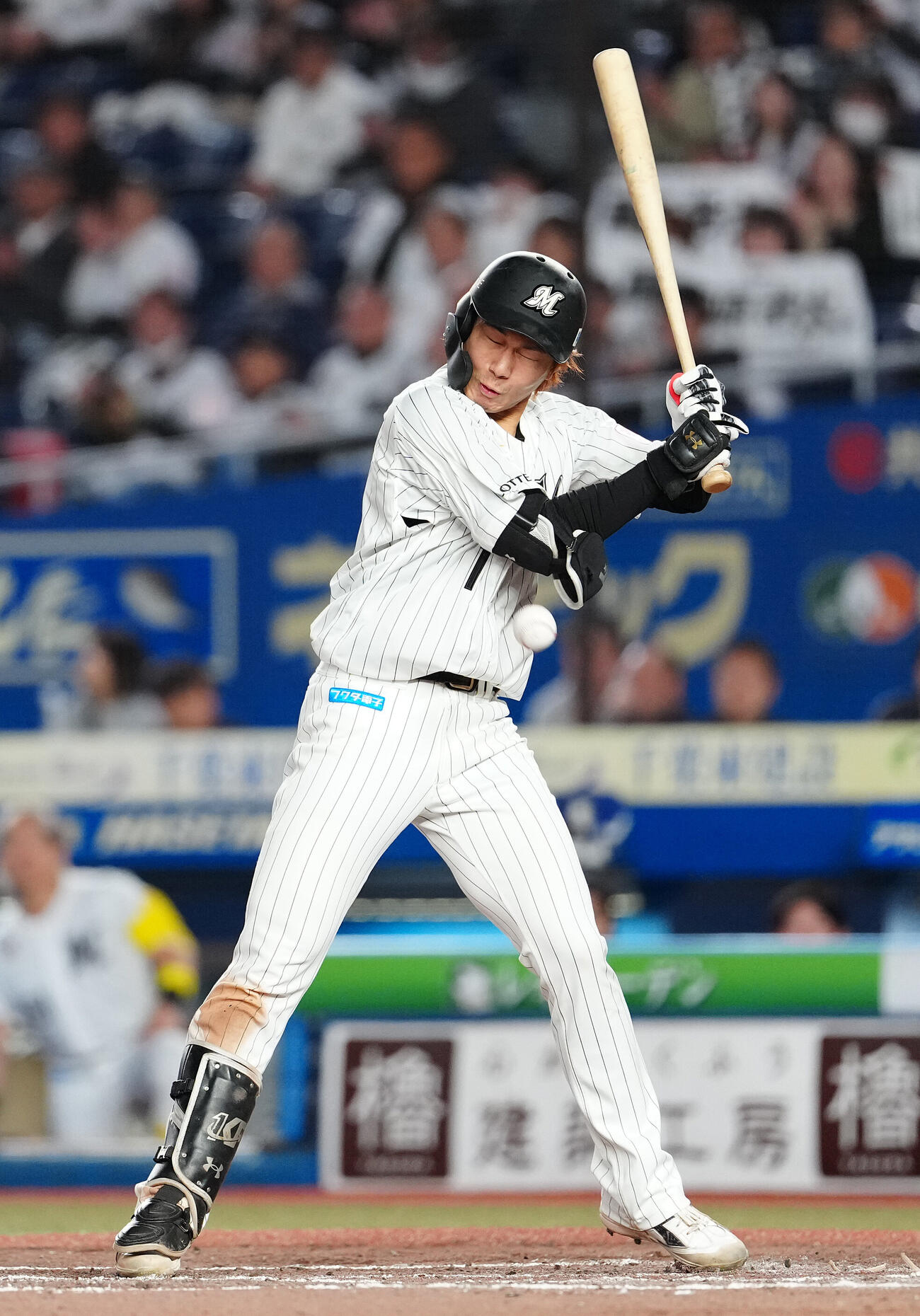 ロッテ対オリックス　6回裏ロッテ2死二塁、死球を受ける藤原恭大（撮影・鈴木みどり）