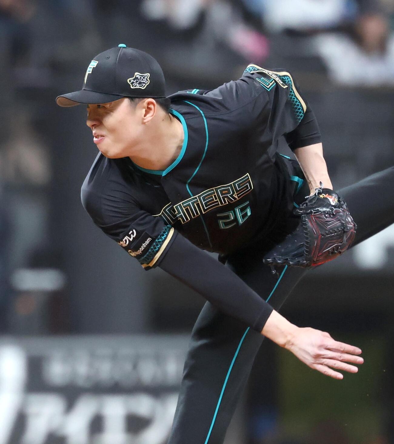 日本ハム対楽天　8回に登板の田中正義（撮影・黒川智章）