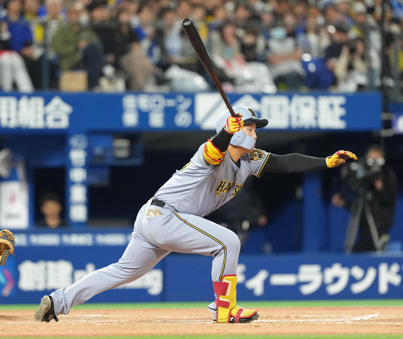 DeNA対阪神　8回表阪神無死、代打嶋村麟士朗はプロ初安打を放つ（撮影・足立雅史）