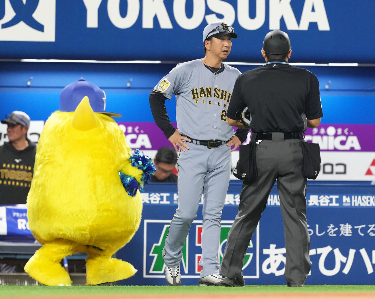 DeNA対阪神　浮かない表情で交代を告げる阪神藤川球児監督（撮影・足立雅史）