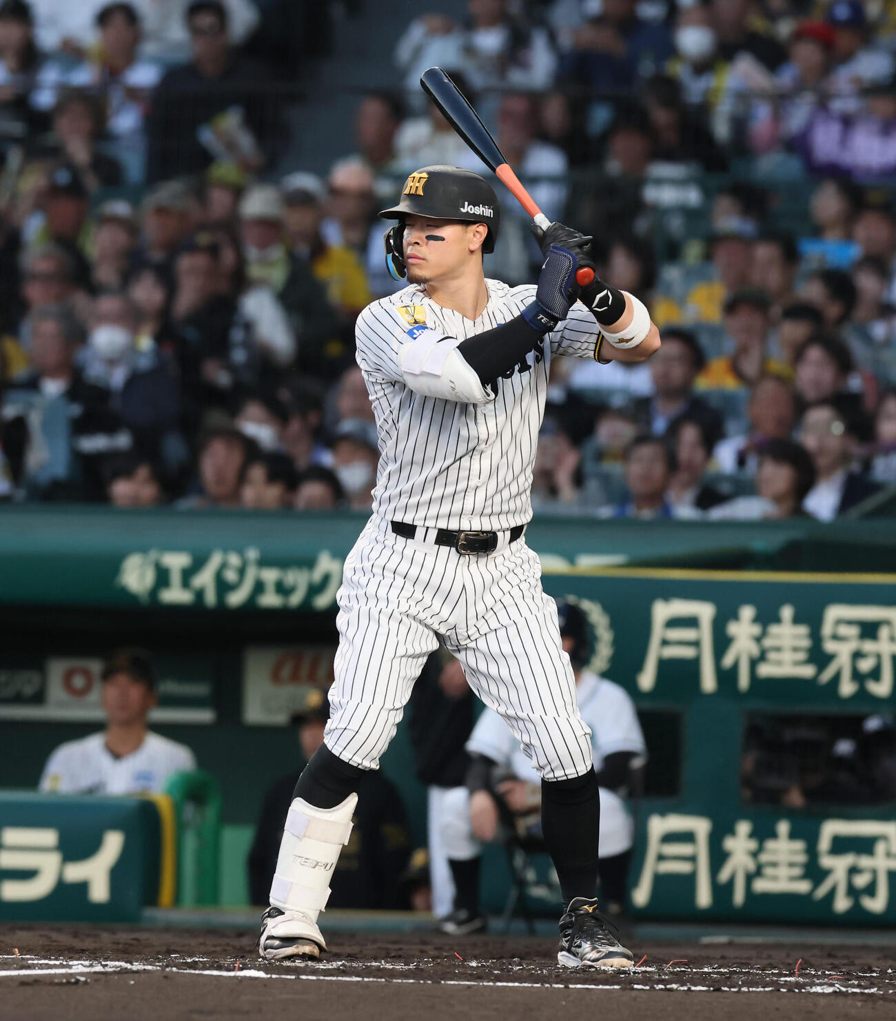阪神佐藤輝明（2026年4月撮影）