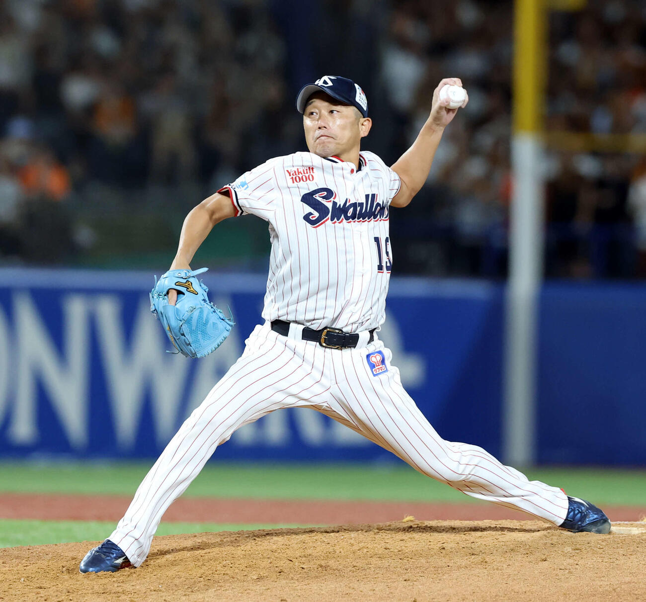 ヤクルト石川雅規（2025年9月撮影）