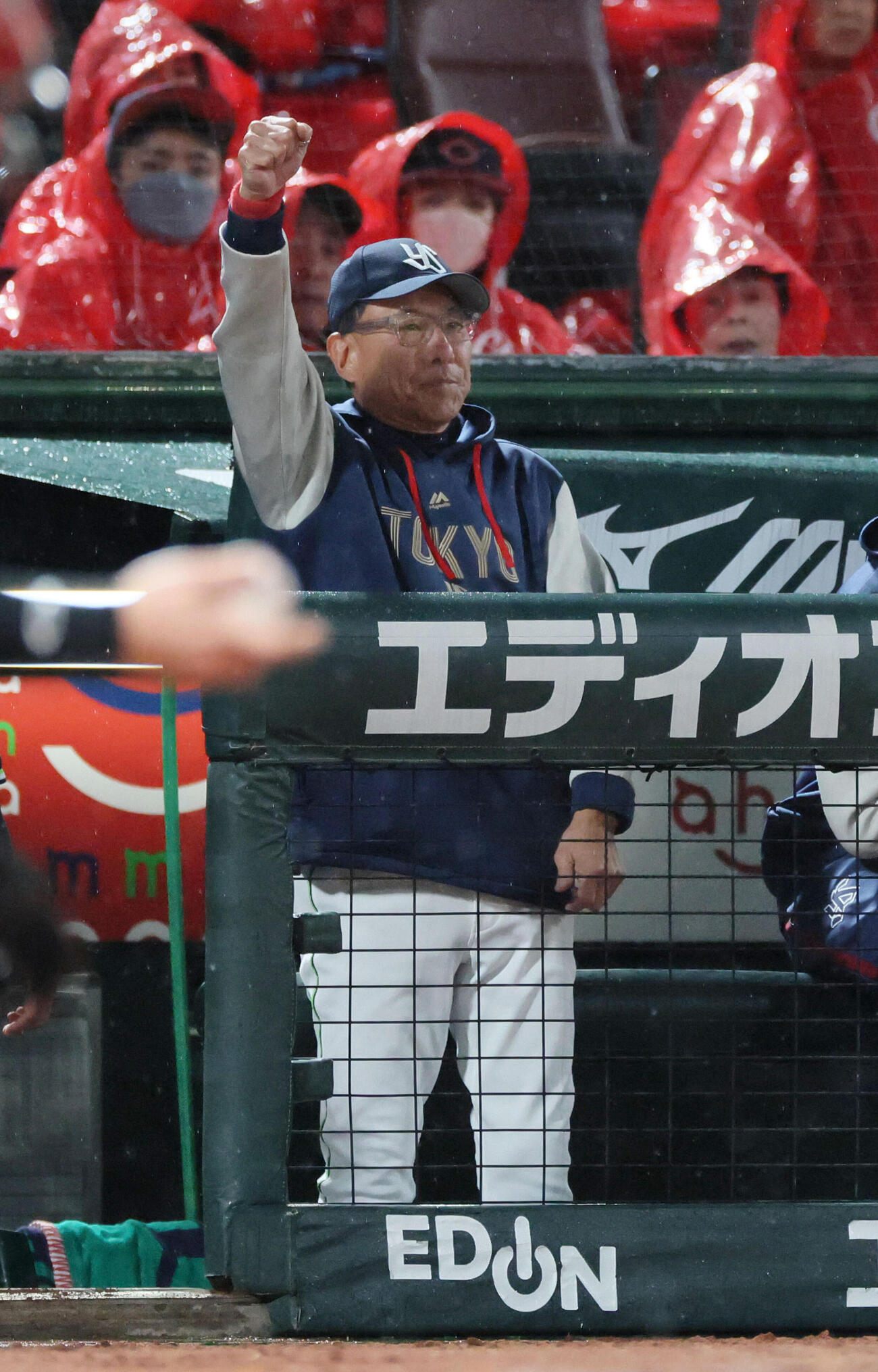 広島対ヤクルト　4回表ヤクルト無死、岩田幸宏の四球でこぶしをあげるヤクルト池山隆寛監督（撮影・加藤孝規）