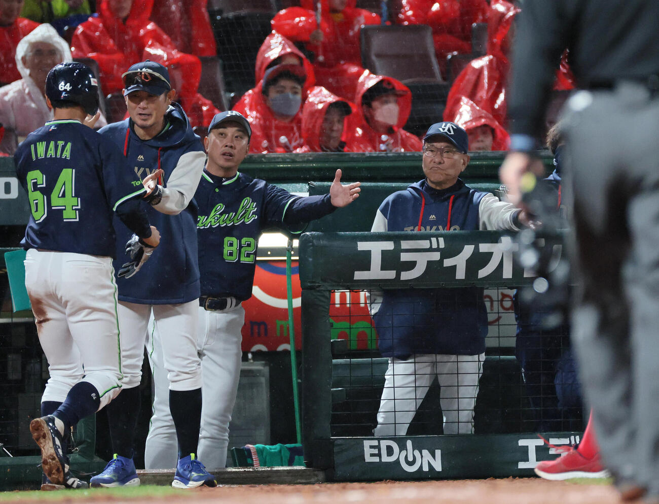 広島対ヤクルト　4回表ヤクルト1死二、三塁、山野太一の中犠飛で生還した岩田幸宏を迎えるヤクルト池山隆寛監督（右）（撮影・加藤孝規）