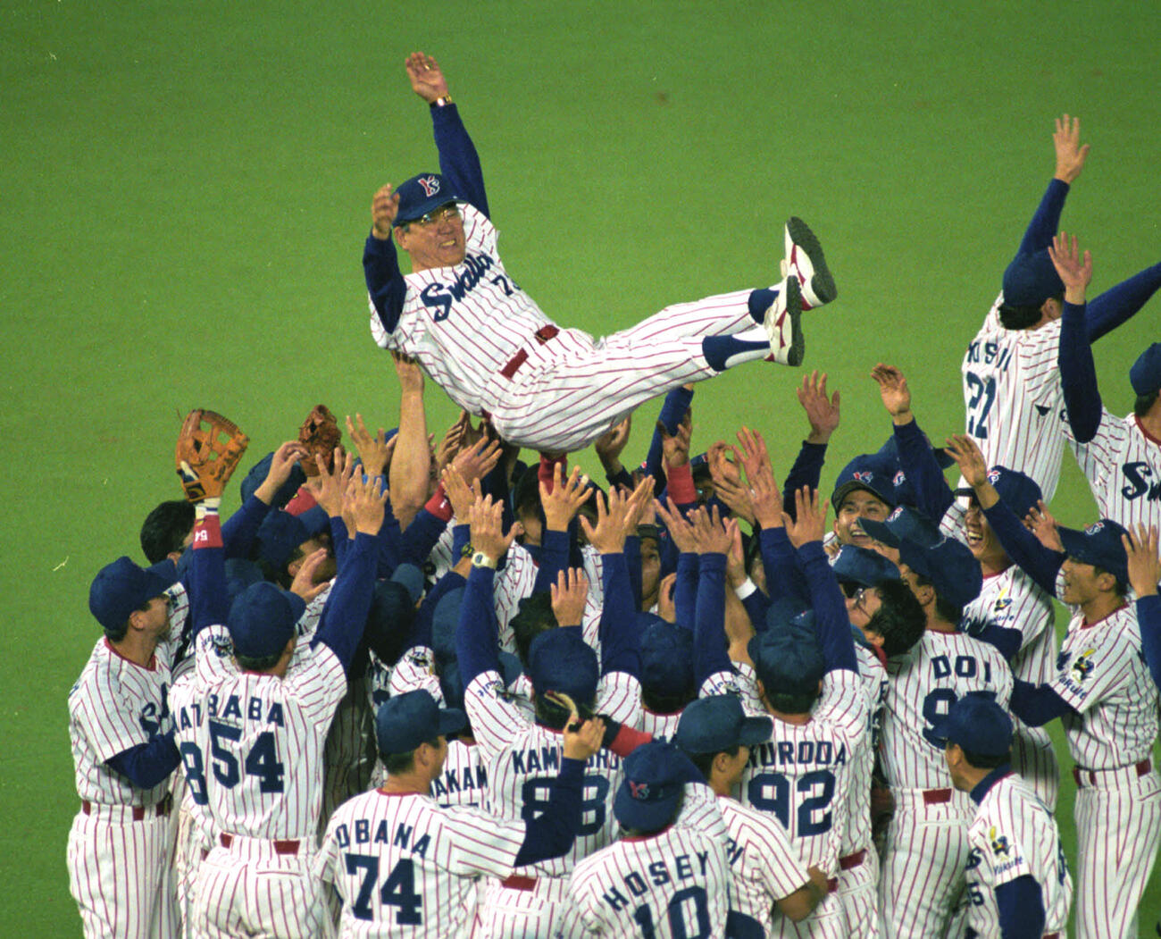 97年、日本シリーズ第5戦　ヤクルト対西武　日本一となりナインから胴上げされるヤクルト野村克也監督
