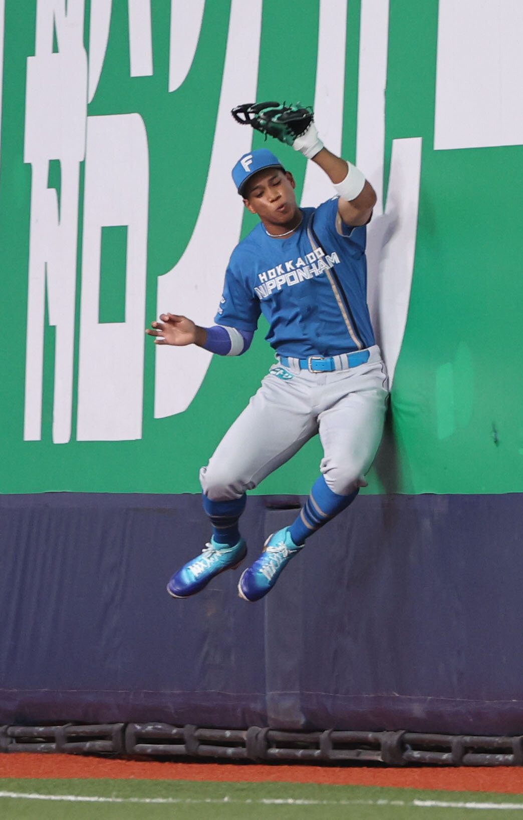 オリックス対日本ハム　5回裏オリックス1死、右翼手万波中正は森友の邪飛をフェンスに当たりながら捕球する（撮影・西尾就之）