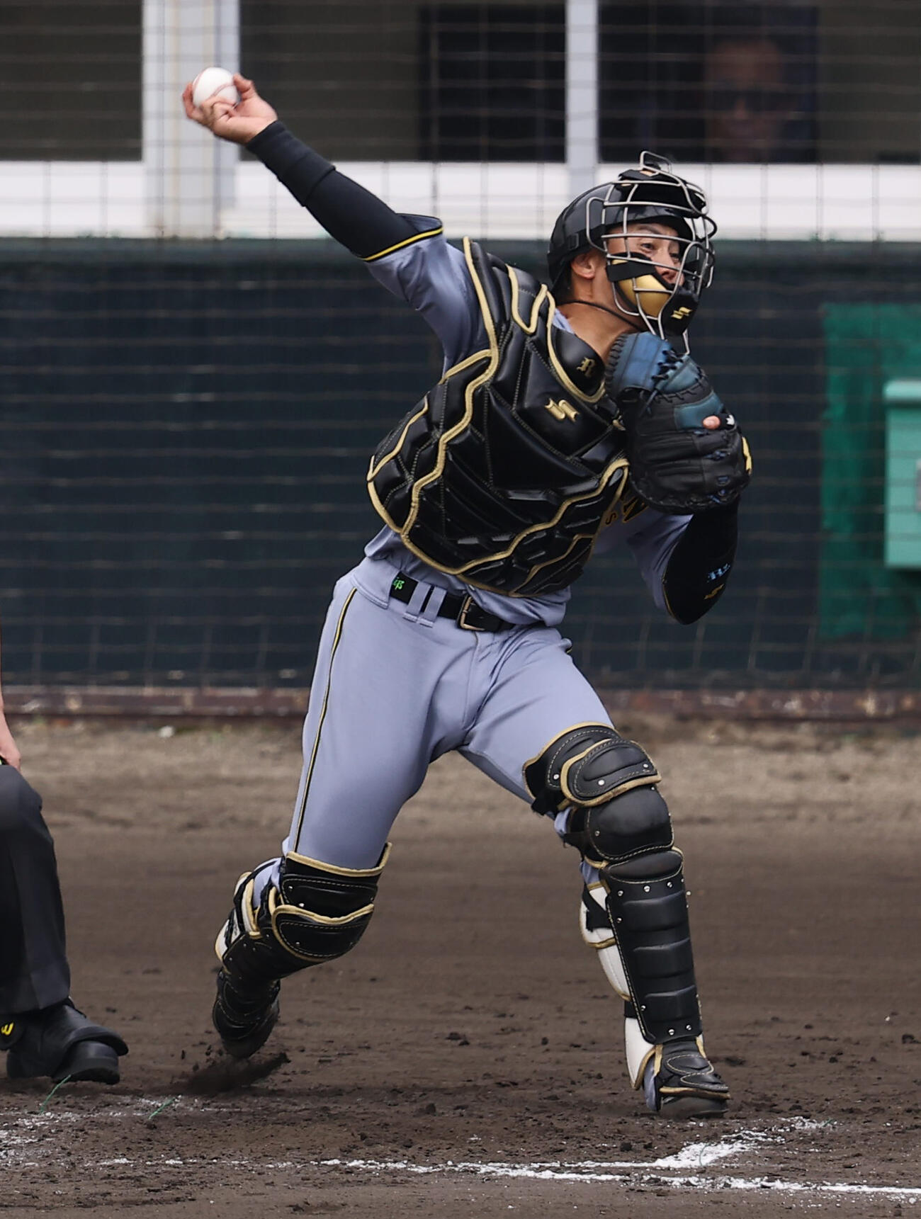 阪神梅野隆太郎（2026年2月撮影）
