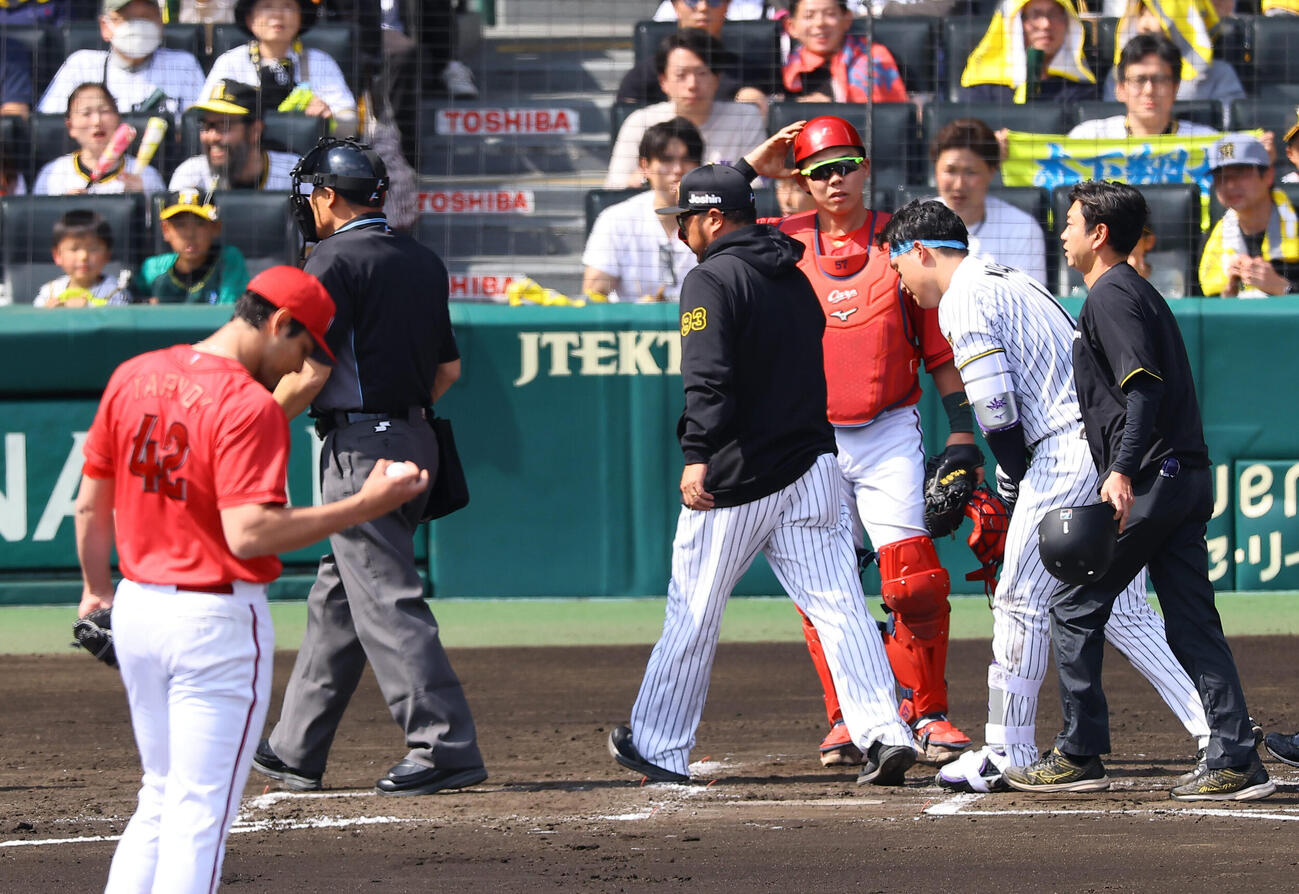 阪神対広島　1回裏阪神無1死二塁、死球を受けた森下翔太（右から2人目）はベンチに下がり治療を受ける（撮影・上田博志）