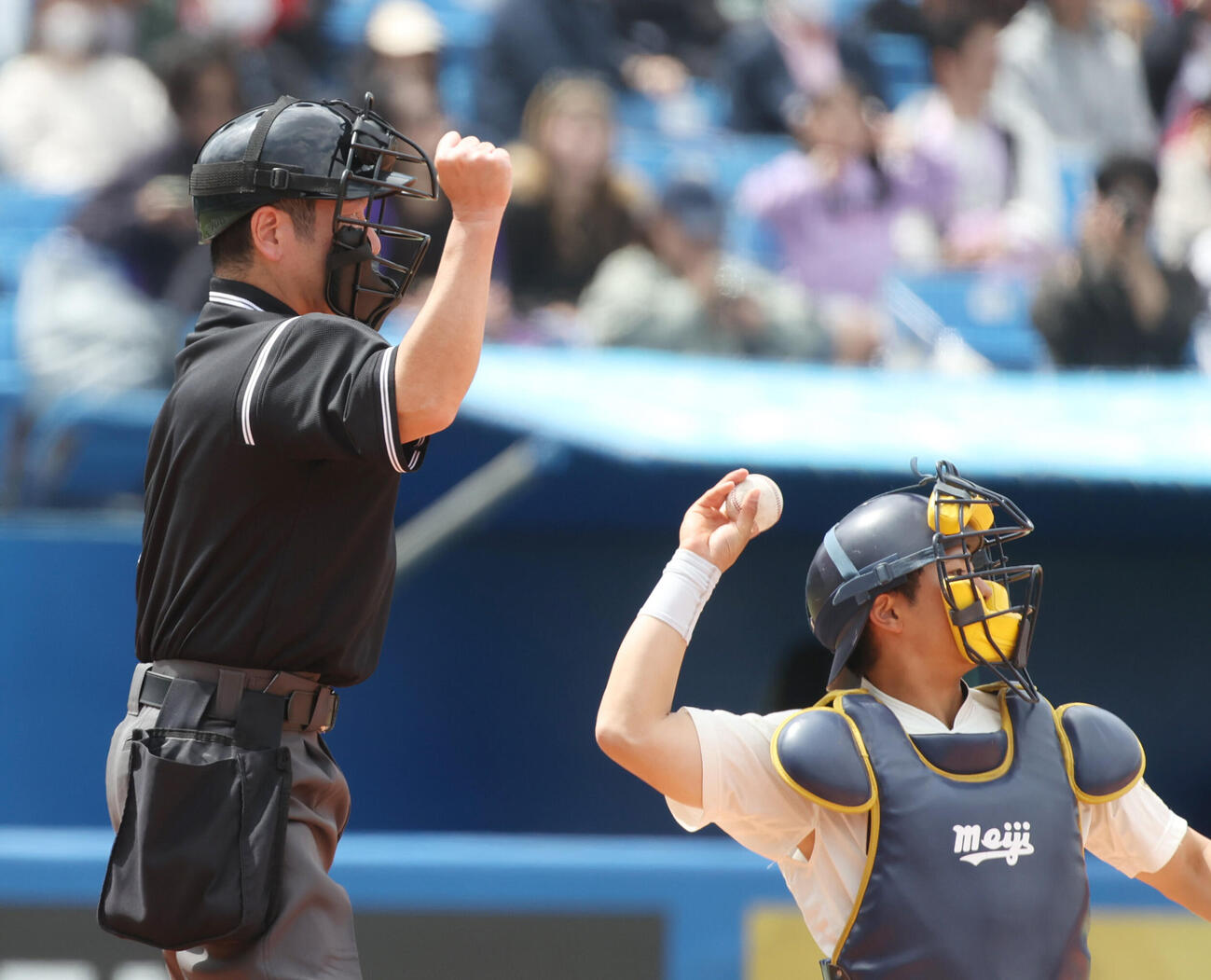 6大学野球　明大対慶大　6大学野球でヘルメット着用した溝内健介球審（撮影・柴田隆二）.