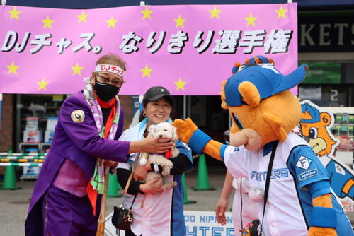 【日本ハム】鎌スタで26日までペット同伴イベント　優勝犬に贈られた豪華プレゼントは…