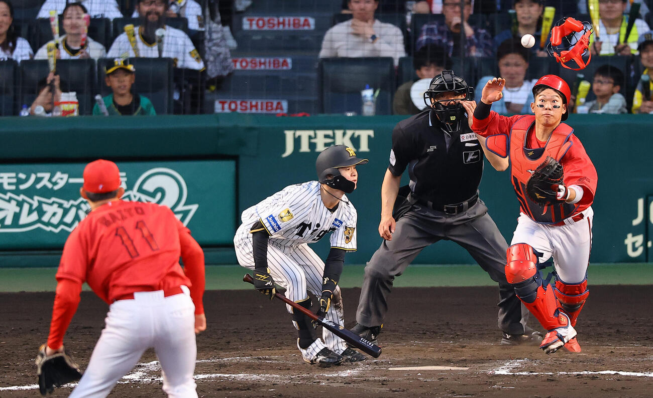 阪神対広島　11回裏阪神無死一塁、中野拓夢は送りバントに失敗する（撮影・上田博志）