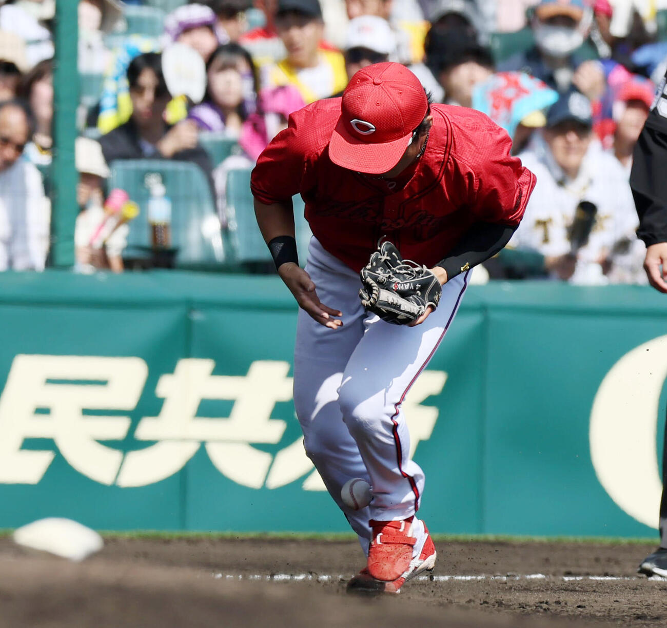 阪神対広島　2回裏阪神無死、佐々木泰は坂本誠志郎の打球をエラーする（撮影・加藤哉）