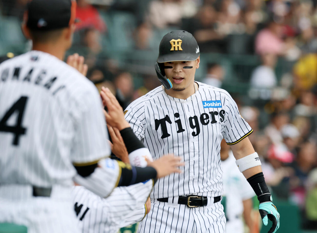 阪神対広島　4回裏阪神無死、佐藤輝明は右越えソロ本塁打を放ちベンチのナインとタッチする（撮影・加藤哉）