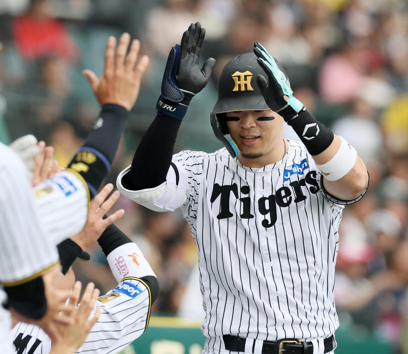 阪神対広島　4回裏阪神無死、佐藤輝明は右越えソロ本塁打を放ちベンチのナインとタッチする（撮影・加藤哉）