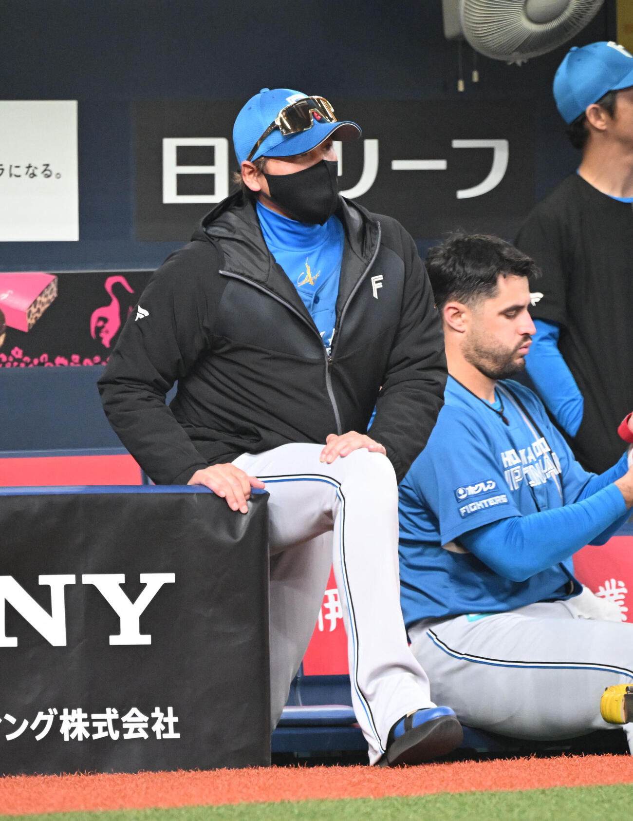 オリックス対日本ハム　9回、ベンチで屈伸する日本ハム新庄剛志監督（撮影・和賀正仁）