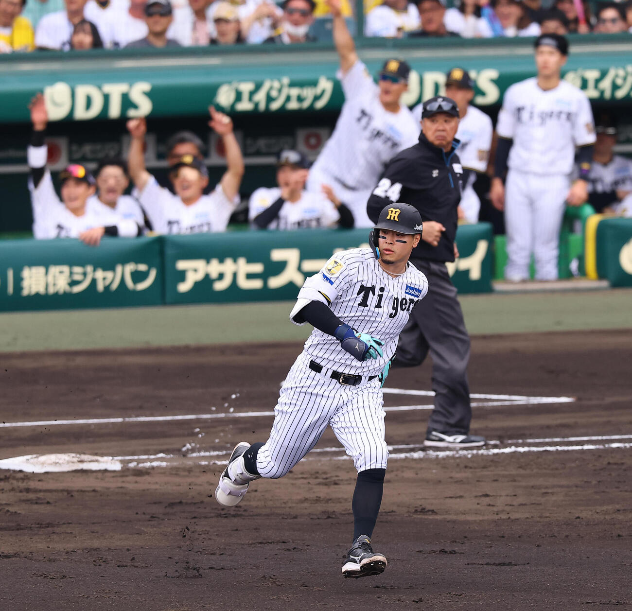 阪神対広島　4回裏阪神無死、佐藤輝明は先制ソロ本塁打を放つ（撮影・上田博志）