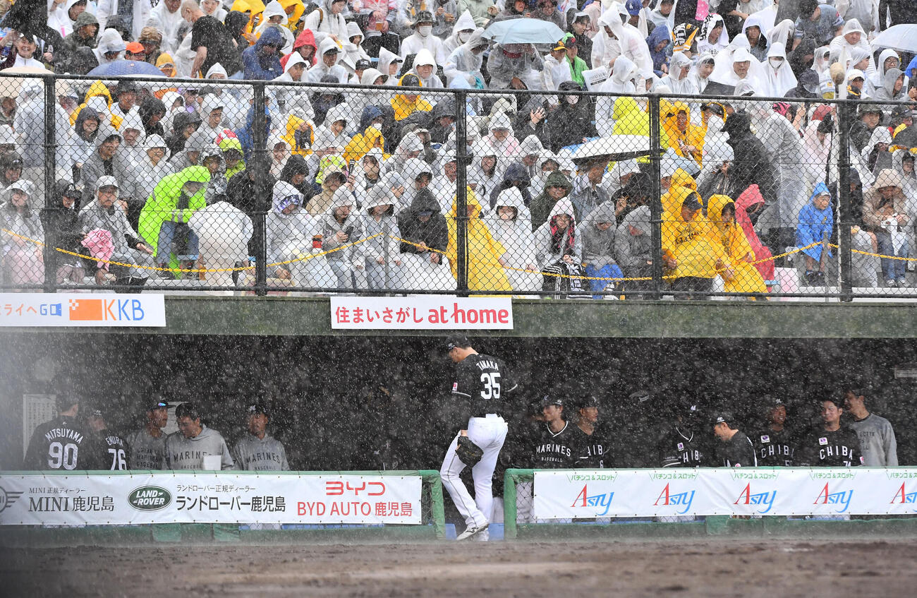 ソフトバンク対ロッテ　2回裏ソフトバンク無死、近藤健介の打席中に雨が強まって中断となり、ベンチへ戻る田中晴也（撮影・岩下翔太）