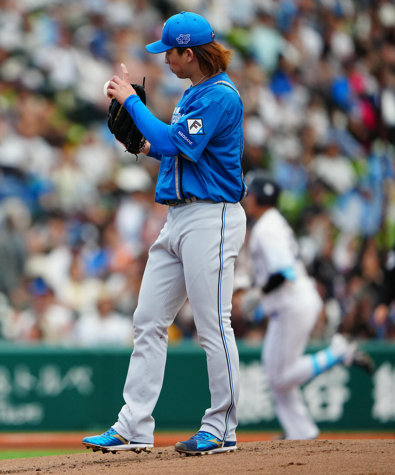 西武対日本ハム　1回裏西武1死、長谷川信哉（右）に先制ソロ本塁打を浴びる細野晴希（撮影・垰建太）　