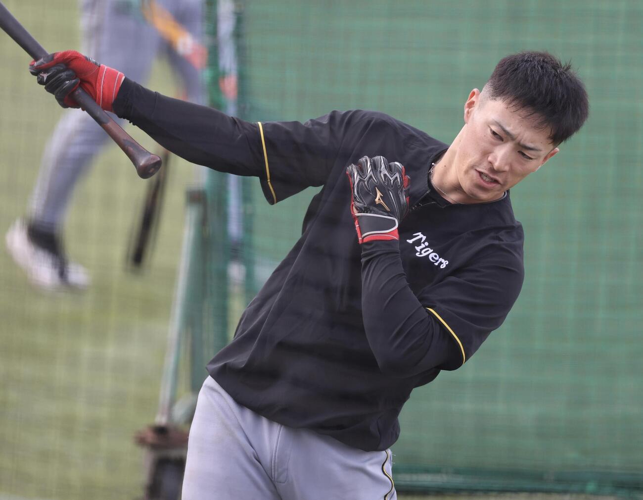 ヤクルト対阪神　試合前、ティー打撃する阪神福島圭音(撮影・浅見桂子)