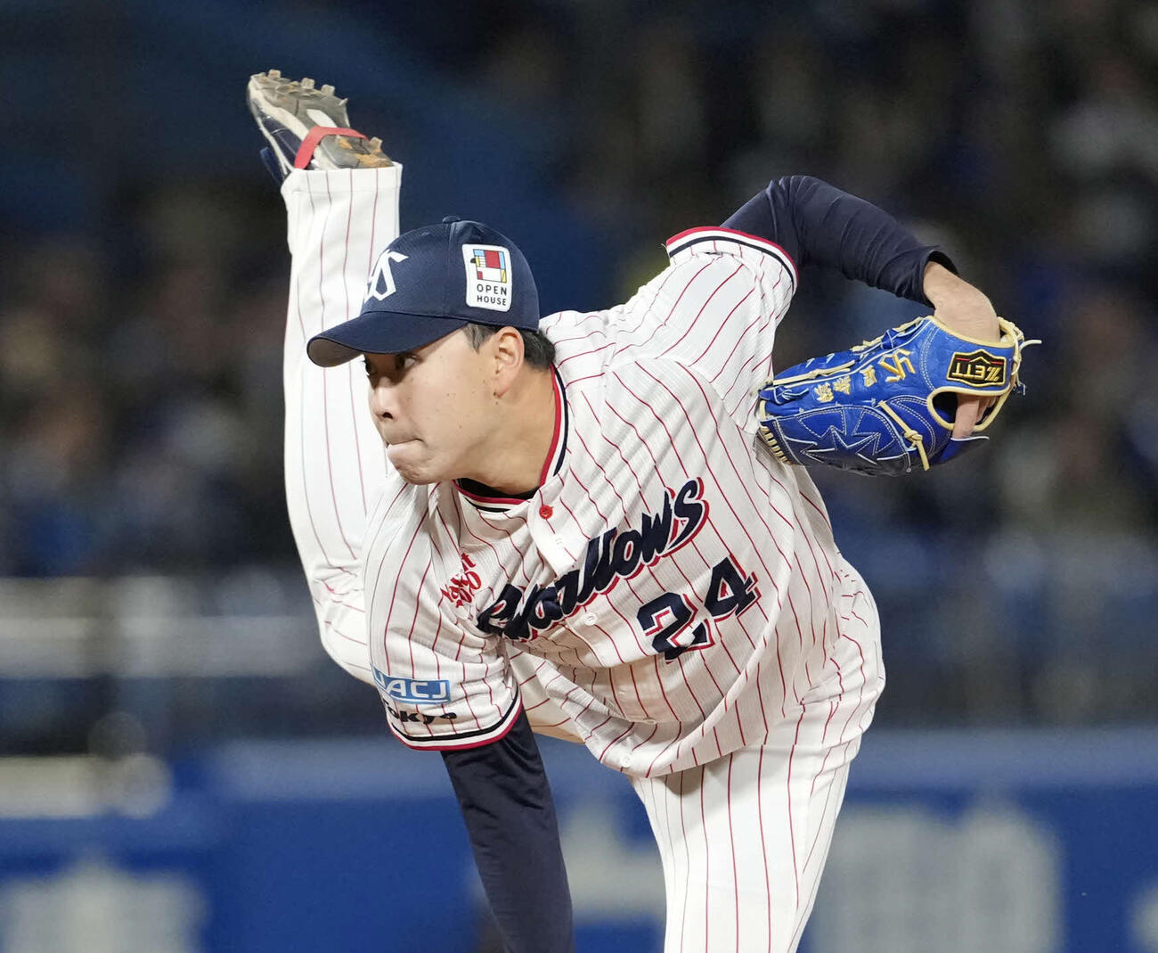 ヤクルト星知弥（2026年撮影）