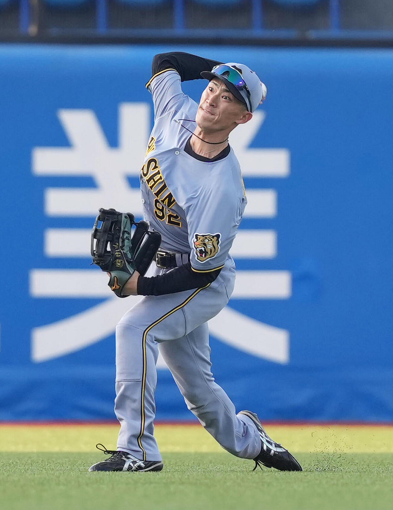 ヤクルト対阪神　試合前、中堅でシートノックを受ける阪神の福島圭音　（撮影・足立雅史）