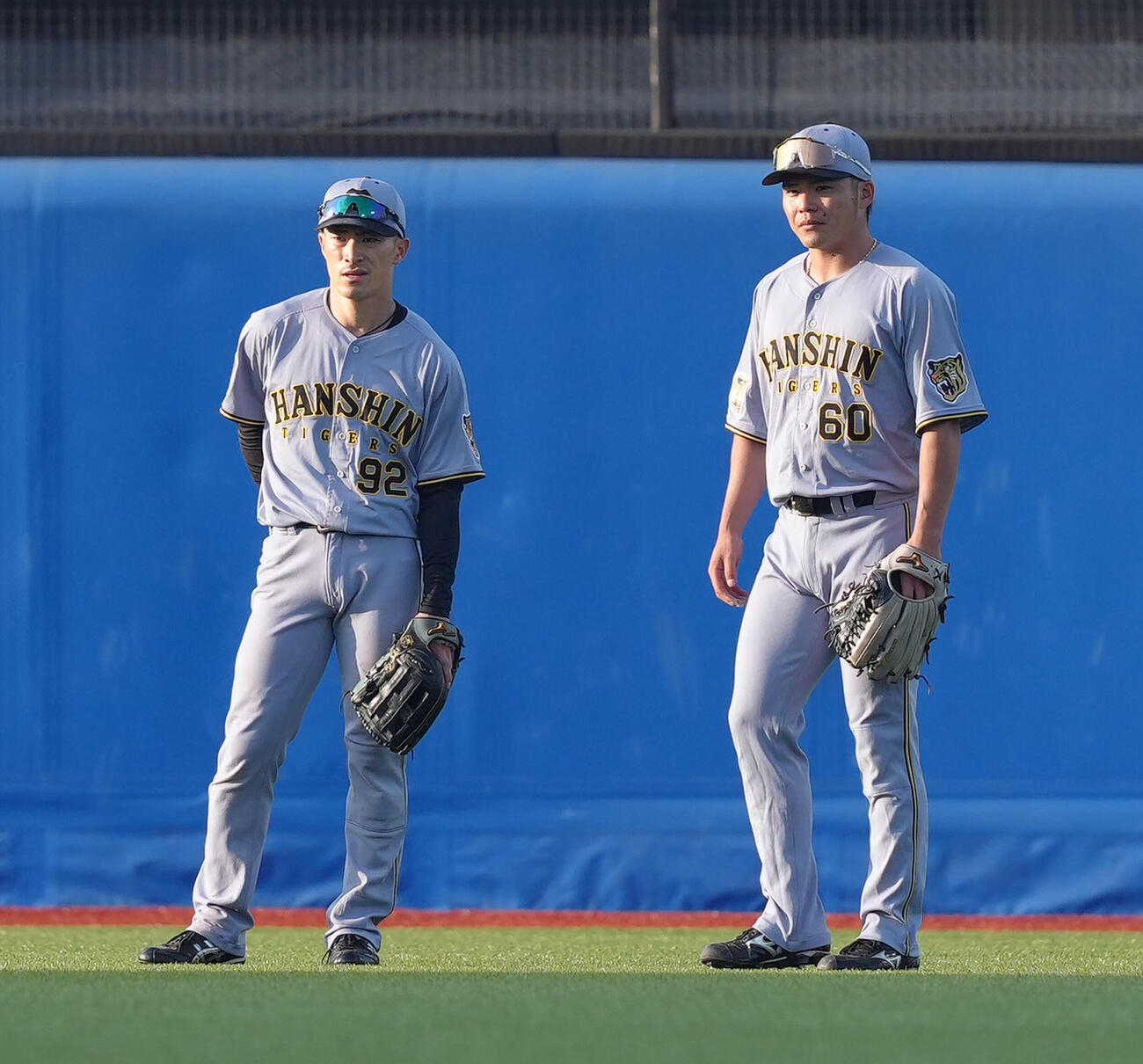 ヤクルト対阪神　試合前、中堅でシートノックを受ける阪神の福島圭音（左）と小野寺暖　（撮影・足立雅史）