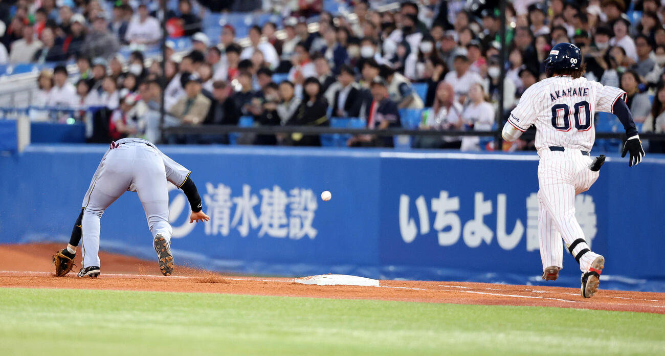 ヤクルト対阪神　2回裏ヤクルト無死、赤羽由紘のゴロを佐藤輝明が一塁悪送球し、取り損なう大山悠輔（撮影・浅見桂子）　