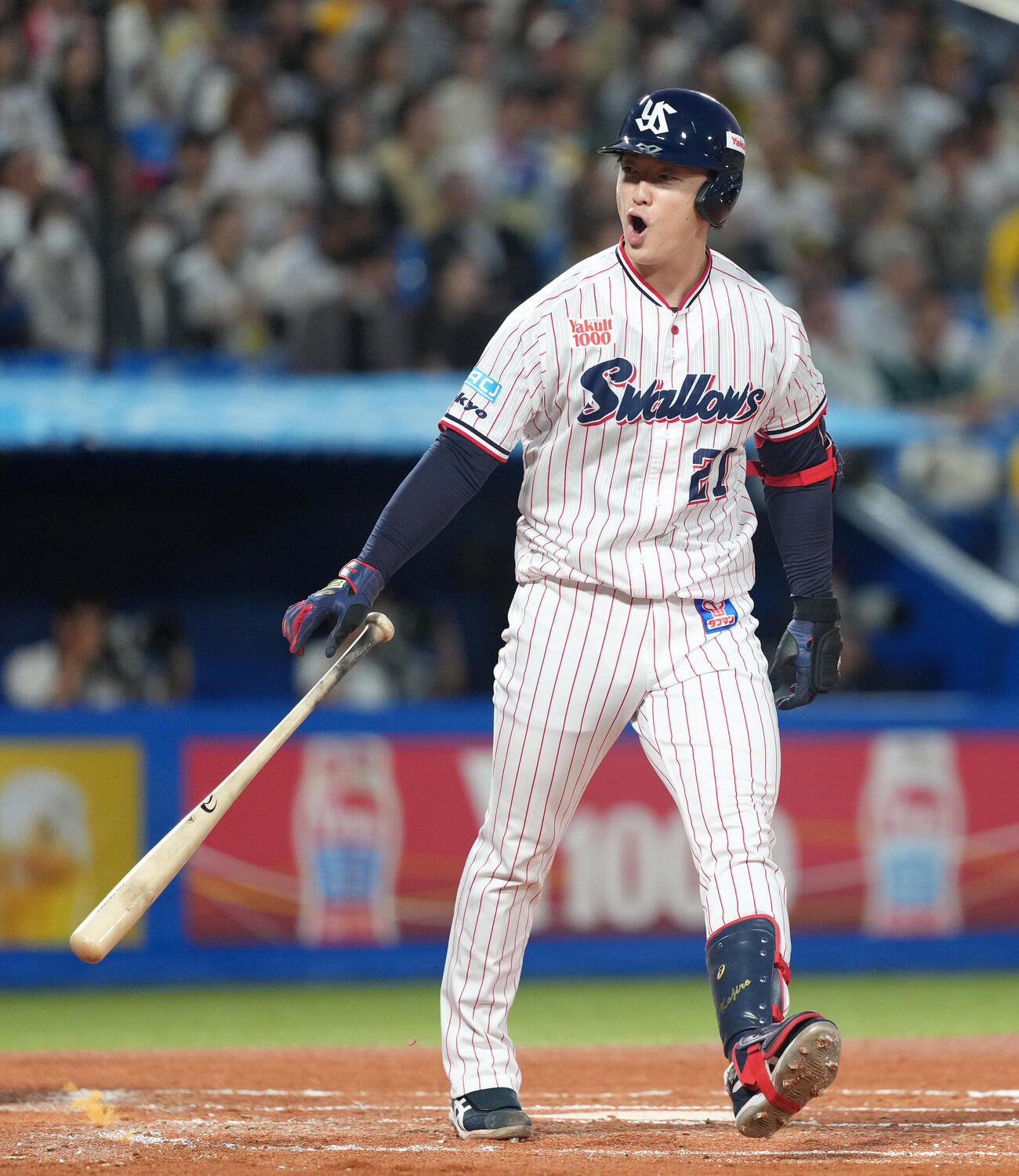 ヤクルト対阪神　2回裏ヤクルト無死一、二塁、吉村貢司郎は四球で出塁し声を出す　（撮影・足立雅史）