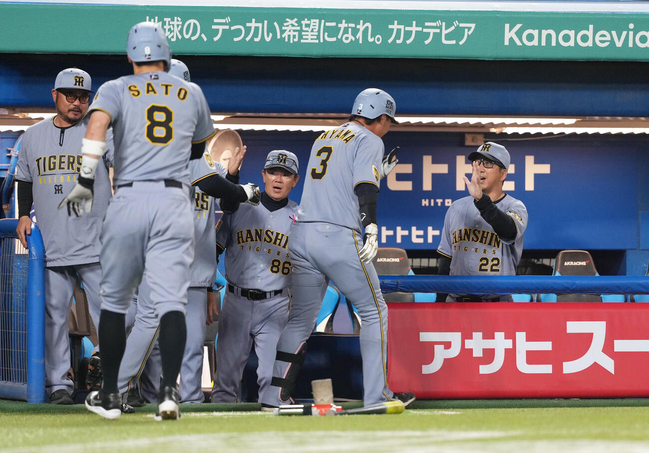 ヤクルト対阪神　4回表阪神1死一、二塁、3点本塁打を放った大山悠輔（右から2人目）を迎える藤川球児監督（右端）（撮影・足立雅史）
