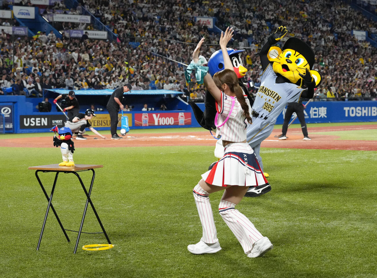 ヤクルト対阪神　イニング間の輪投げを惜しくも外すトラッキー（撮影・足立雅史）