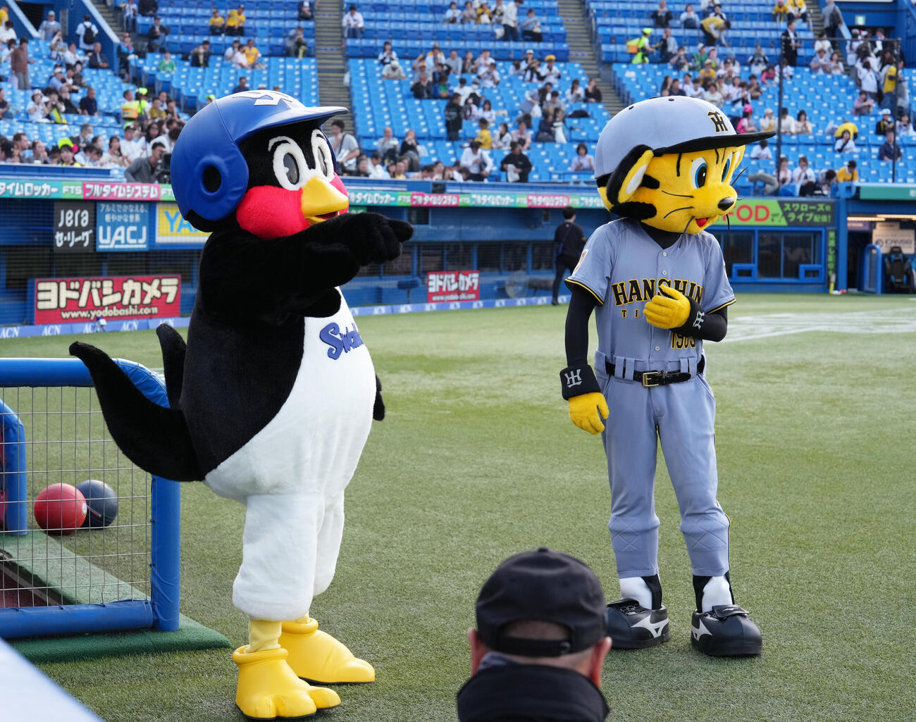 ヤクルト対阪神　試合前、交流するつば九郎（左）とトラッキー　（撮影・足立雅史）
