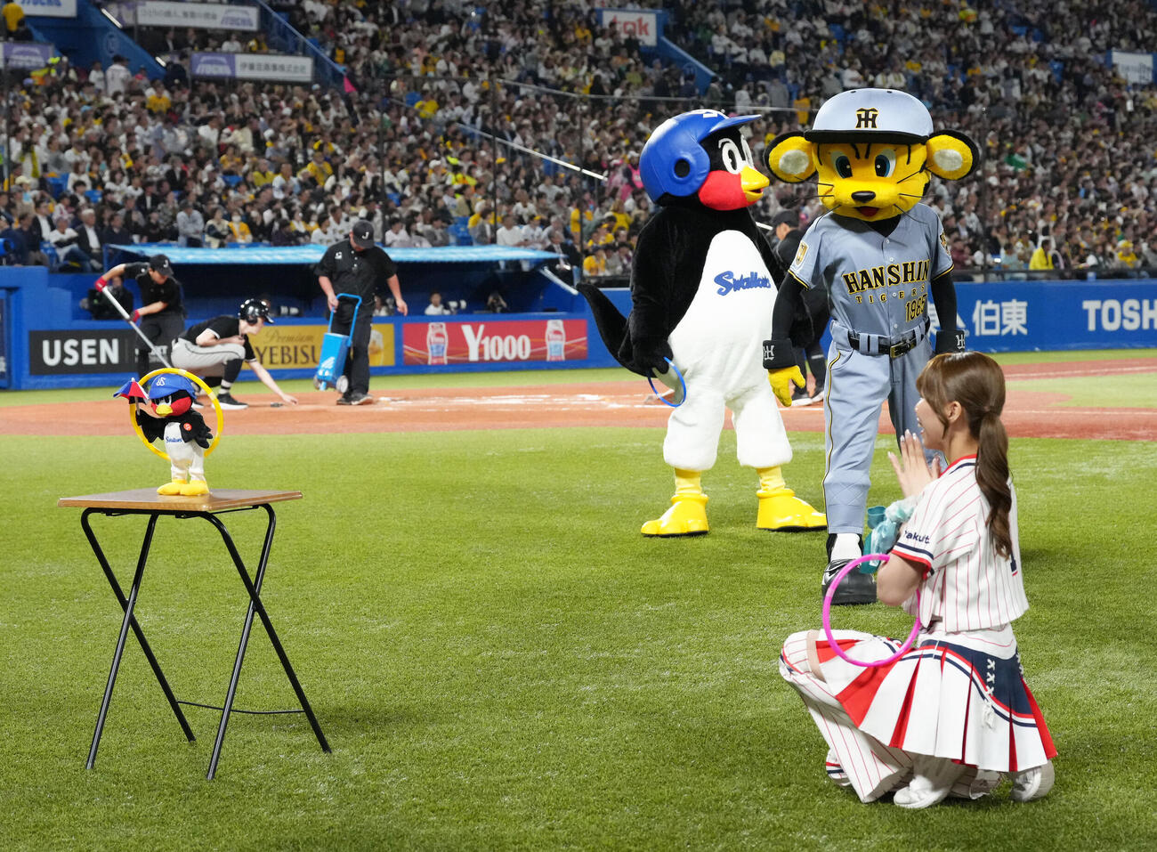 ヤクルト対阪神　イニング間の輪投げを惜しくも外すトラッキー（撮影・足立雅史）